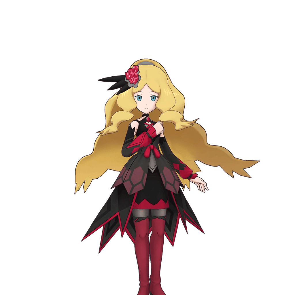 Trainer preview